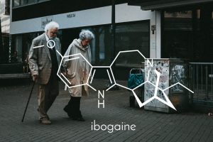 Ibogaine structure with elderly couple